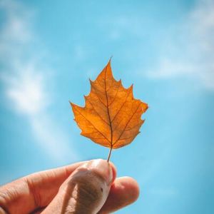 The Psychology Couch Newsletter April 2024 Edition