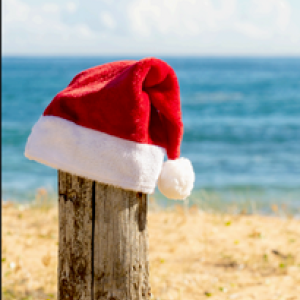 The Psychology Couch Newsletter November 2024 Edition